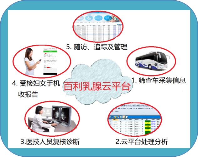 互联网+.jpg
